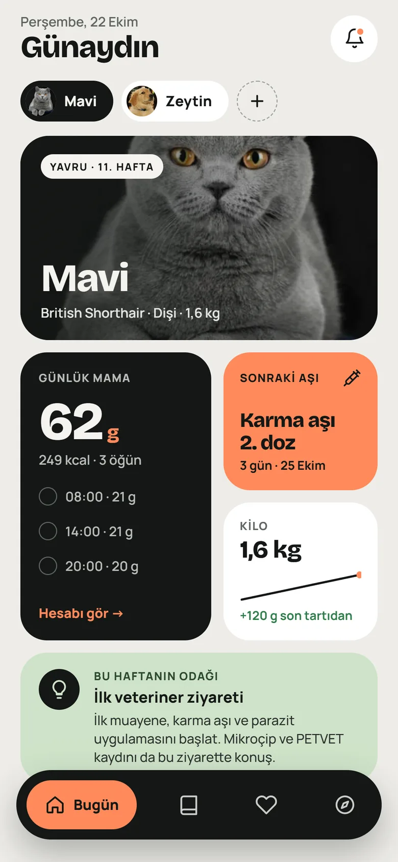Bugün ekranı